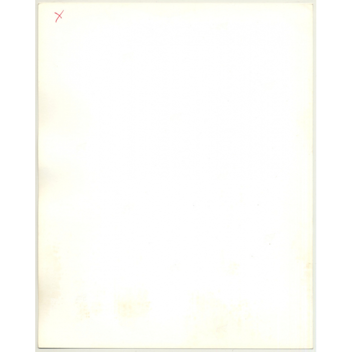 Portrait: Female Fashion Model *4 / Hairstyle (Vintage Photo: Wolfgang Klein 1980s DIN A4+)