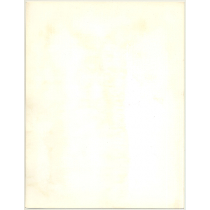 Portrait: Female Fashion Model *5 / Hairstyle (Vintage Photo: Wolfgang Klein 1980s DIN A4+)