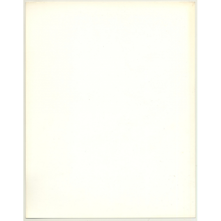 Portrait: Female Fashion Model *7 / Hairstyle (Vintage Photo: Wolfgang Klein 1980s DIN A4+)