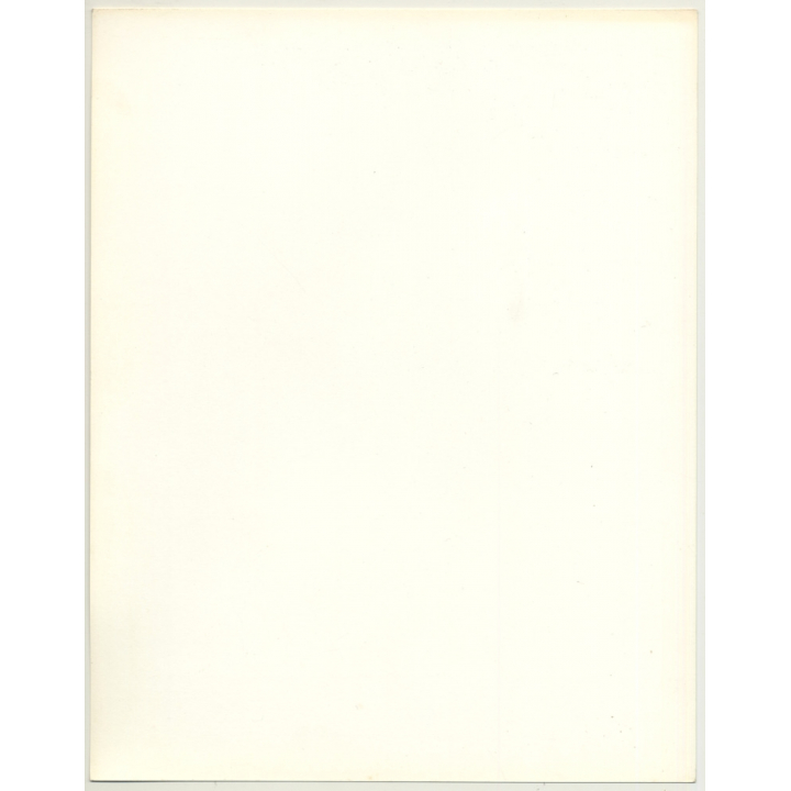 Portrait: Female Fashion Model *8 / Hairstyle (Vintage Photo: Wolfgang Klein 1980s DIN A4+)