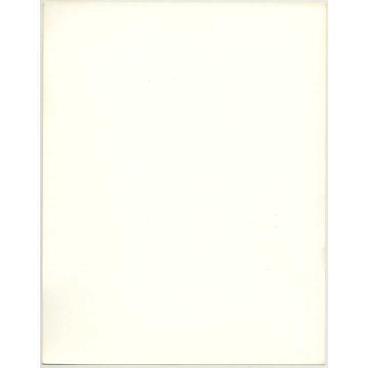 Portrait: Female Fashion Model *9 / Hairstyle - Rain (Vintage Photo: Wolfgang Klein 1980s DIN A4+)