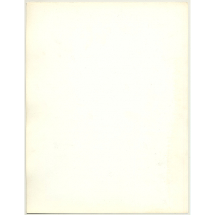 Portrait: Female Fashion Model *10 / Hairstyle (Vintage Photo: Wolfgang Klein 1980s DIN A4+)