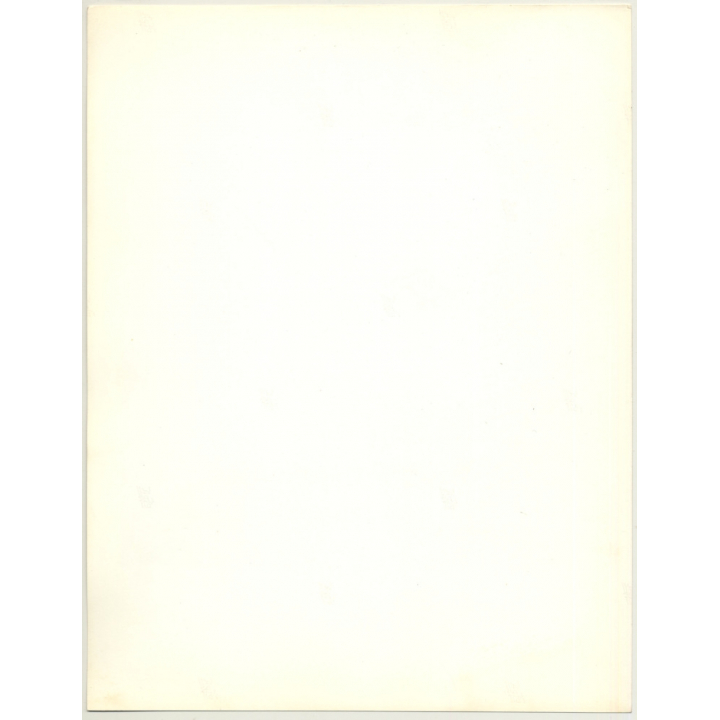 Portrait: Female Fashion Model *11 / Hairstyle (Vintage Photo: Wolfgang Klein 1980s DIN A4+)