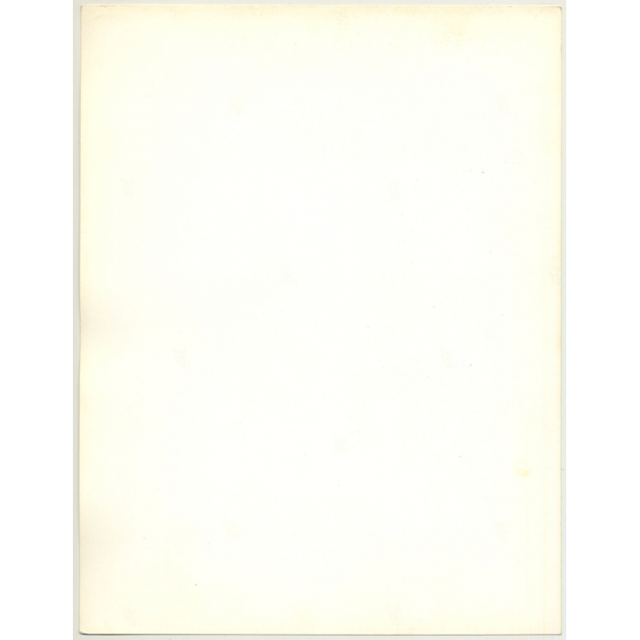 Portrait: Female Fashion Model *12 / Hairstyle (Vintage Photo: Wolfgang Klein 1980s DIN A4+)