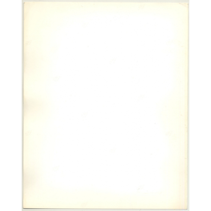 Portrait: Female Fashion Model *13 / Hairstyle (Vintage Photo: Wolfgang Klein 1980s DIN A4+)