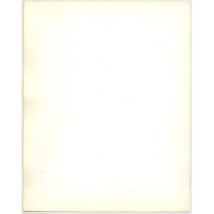 Portrait: Female Fashion Model *14 / Hairstyle (Vintage Photo: Wolfgang Klein 1980s DIN A4+)