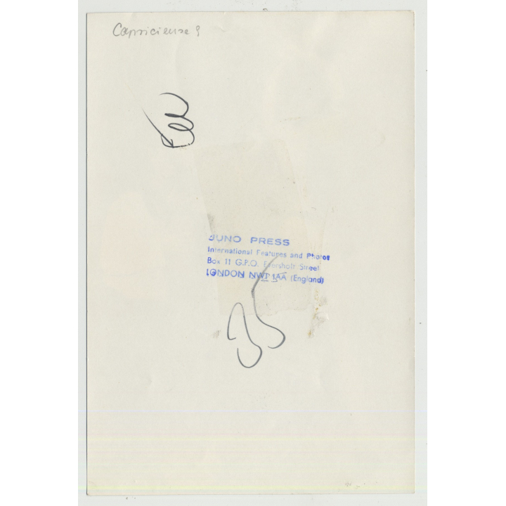 Bizarre Lesbian Cowgirl Bondage Scene 1 / Moustache - Lingerie  (Vintage Photo Master 60s/70s)