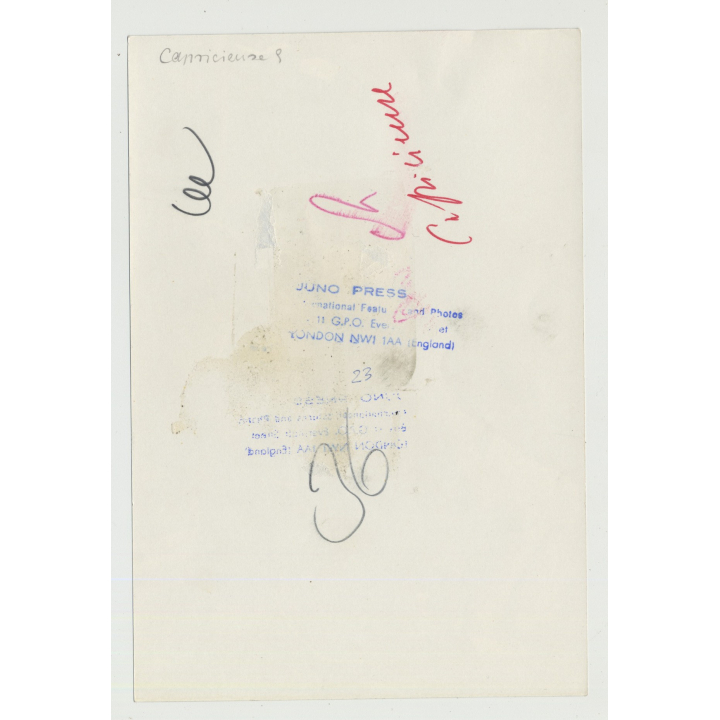 Bizarre Lesbian Cowgirl Bondage Scene 4 / BDSM - Suspenders (Vintage Photo Master 60s/70s)