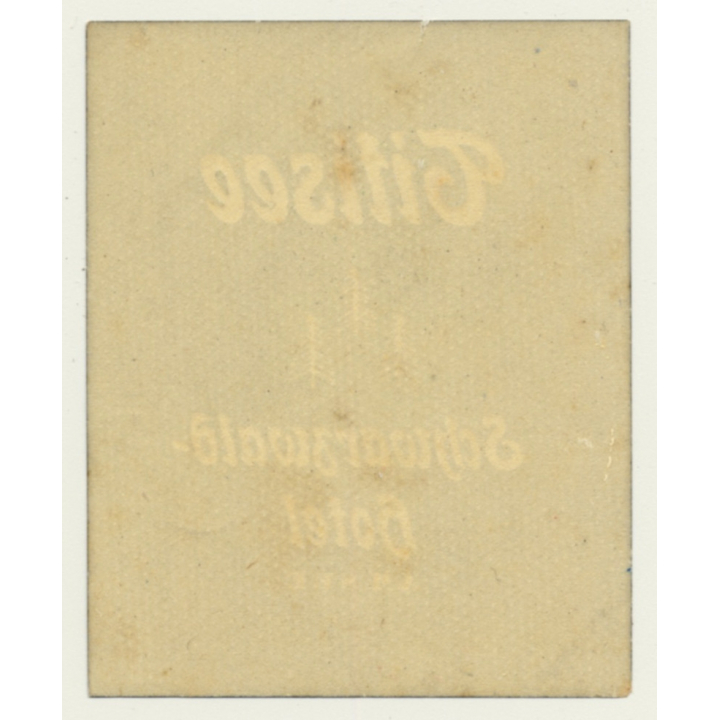 Titisee / Germany: Schwarzwald Hotel - Black Forest (Vintage Luggage Label)