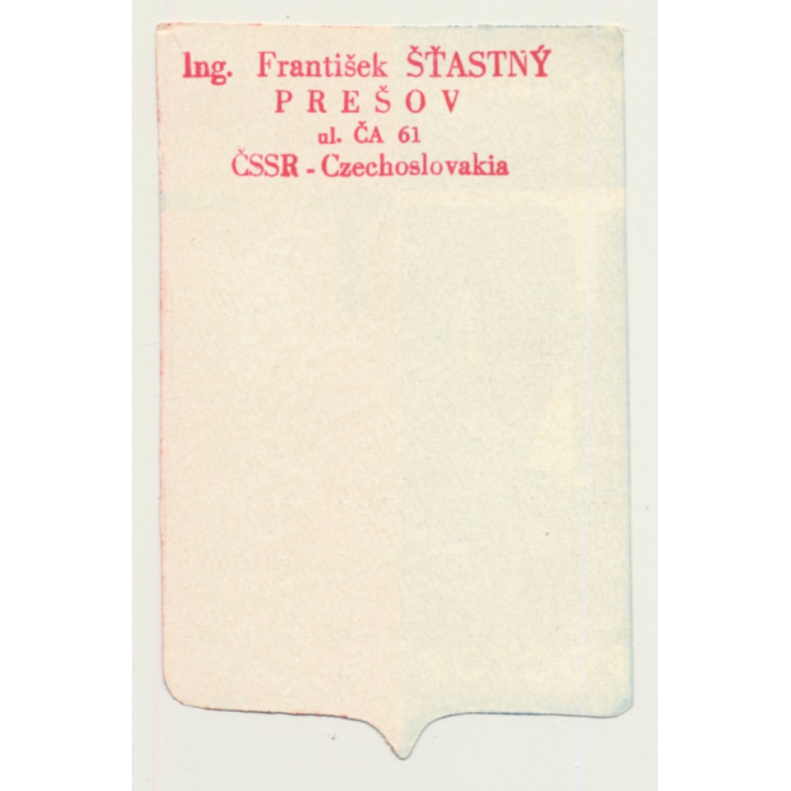 Russia: гостиницд ростов / Hotels in Rostow (Vintage Luggage Label)