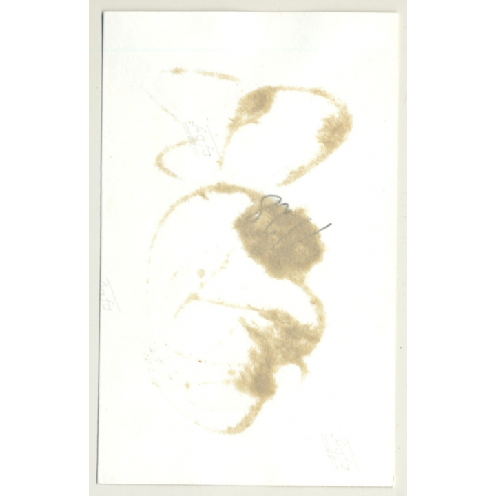 Semi Nude Woman On Her Back - Legs Tied Up / Bondage - BDSM (2nd Gen. Photo ~1960s)