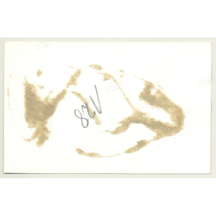 Woman On Her Back - Legs Tied Up *2 / Whip - Bondage - BDSM (2nd Gen. Photo ~1960s)