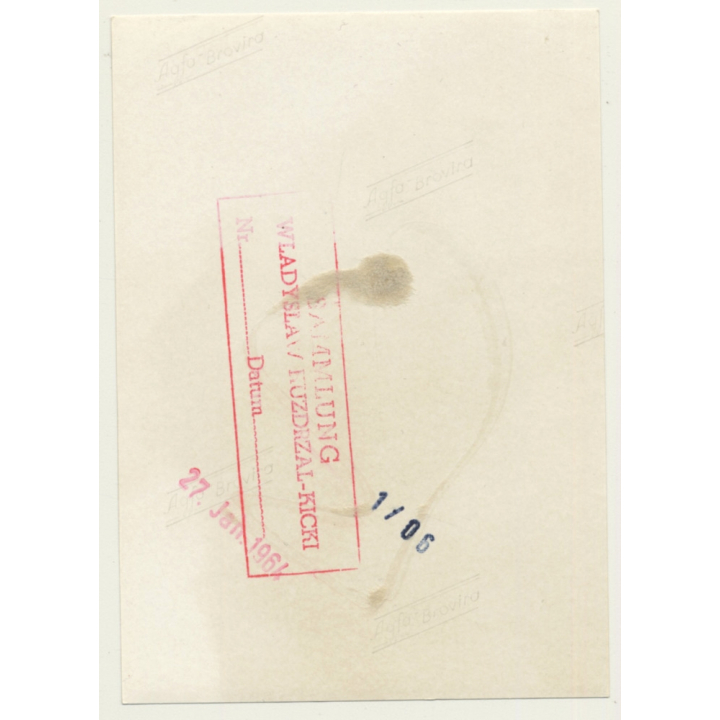 Brunette Semi Nude In Belt Bondage *1 / BDSM (Vintage Photo 1964)