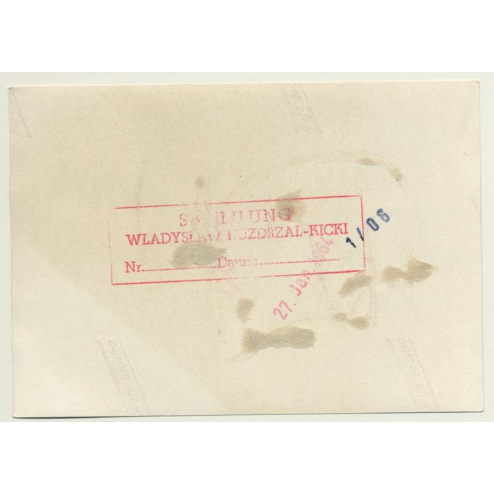 Brunette Semi Nude In Belt Bondage *3 / BDSM (Vintage Photo 1964)