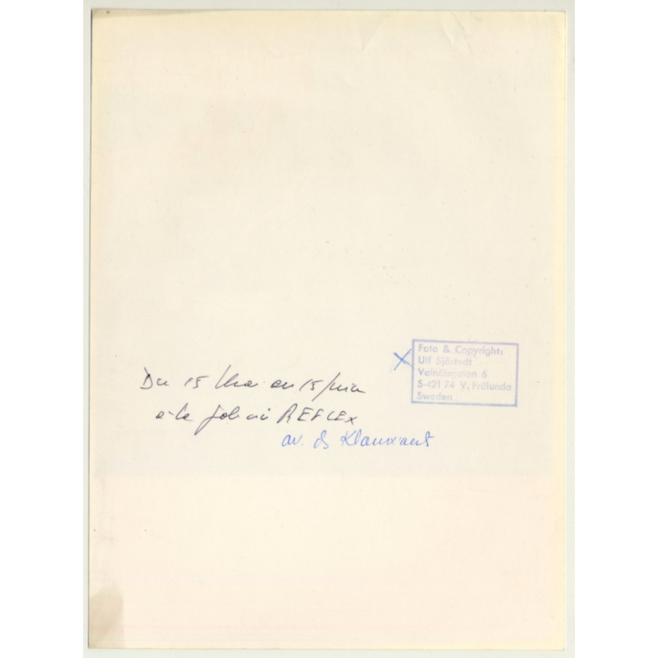 Ulf Sjöstedt (1935-2009):  Tree Study (Vintage Photo ~1980s)