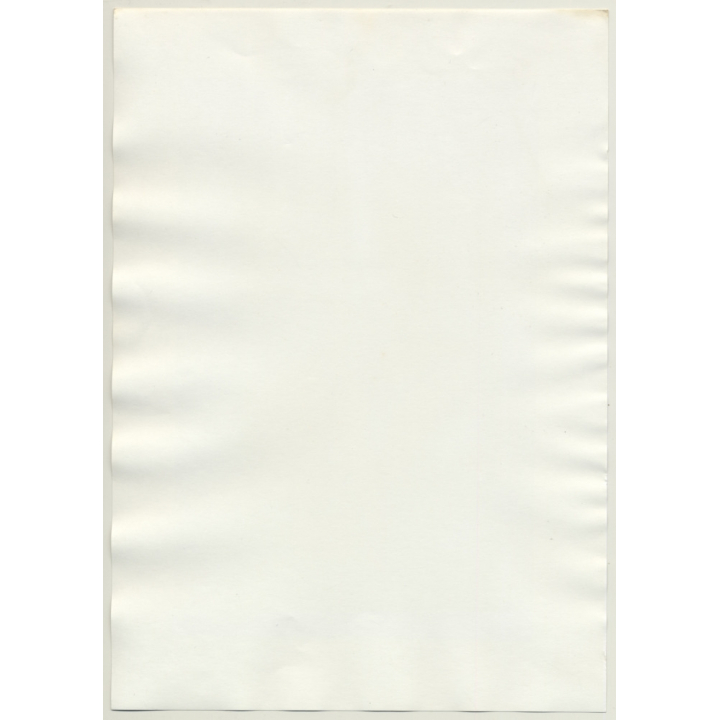 Slim Dark-Skinned Nude Beauty / Rasta Braids (Large Vintage Photo 1980s)