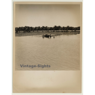 Asia: Local People Collect Firewood With Boot / Ethnic (Vintage Photo)