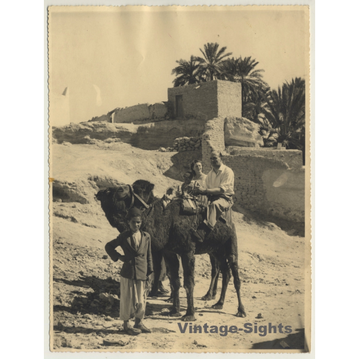 Bou-Saada / Algeria: Tourists On Dromedary / Desert (Vintage Photo ~1940s/1950s)