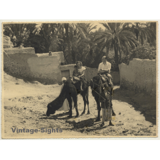 Bou-Saada / Algeria: Tourists On Dromedaries / Native Kid (Vintage Photo ~1940s/1950s)