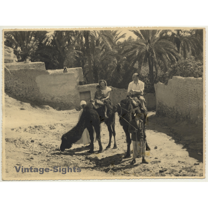 Bou-Saada / Algeria: Tourists On Dromedaries / Native Kid (Vintage Photo ~1940s/1950s)