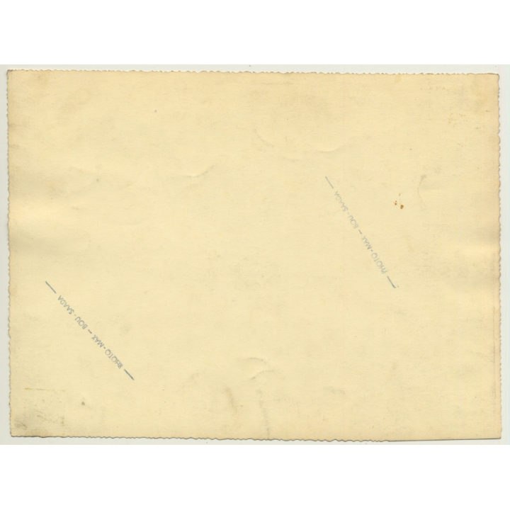 Bou-Saada / Algeria: Tourists On Dromedaries / Native Kid (Vintage Photo ~1940s/1950s)