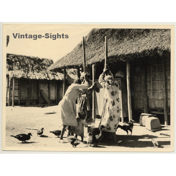 Native African Women Mashing Cassava / Chicken - Huts (Vintage Photo ~1950s/1960s)
