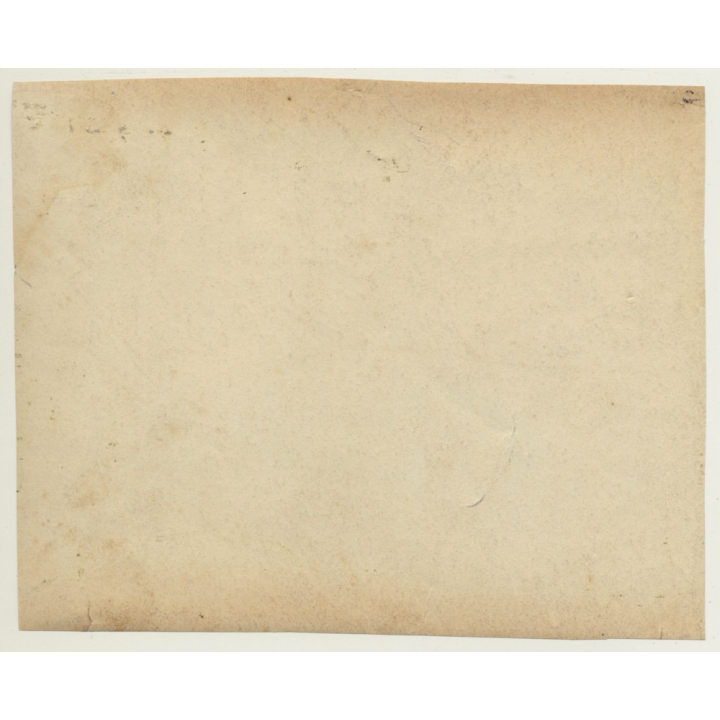 Belgian Peasant Woman Pulls Hay Cart (Vintage Photo ~ 1900s/1910s)