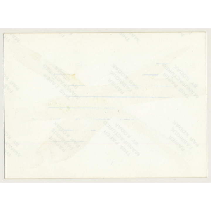 Natural Busty Topless Woman Chills In High Grass *2 (Vintage Photo Germany ~1980s)