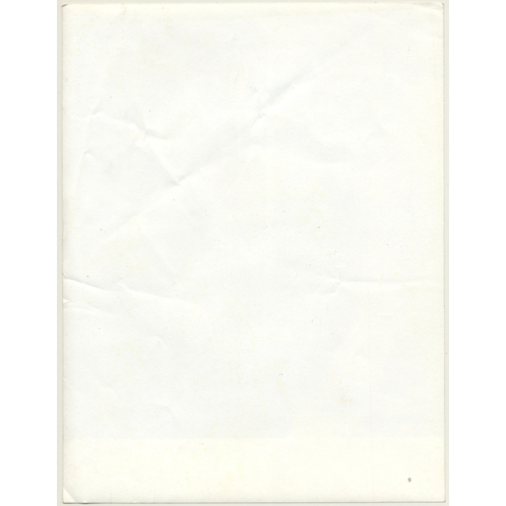 SAS Airlines Stewardess / Jumbo Jet / Flight Attentand (Vintage Press Photo ~1960s)