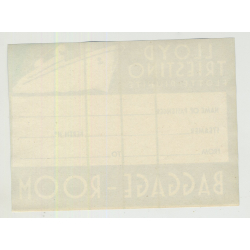 Lloyd Trestino Flotte Riunite (Vintage Baggage Room Luggage Label)