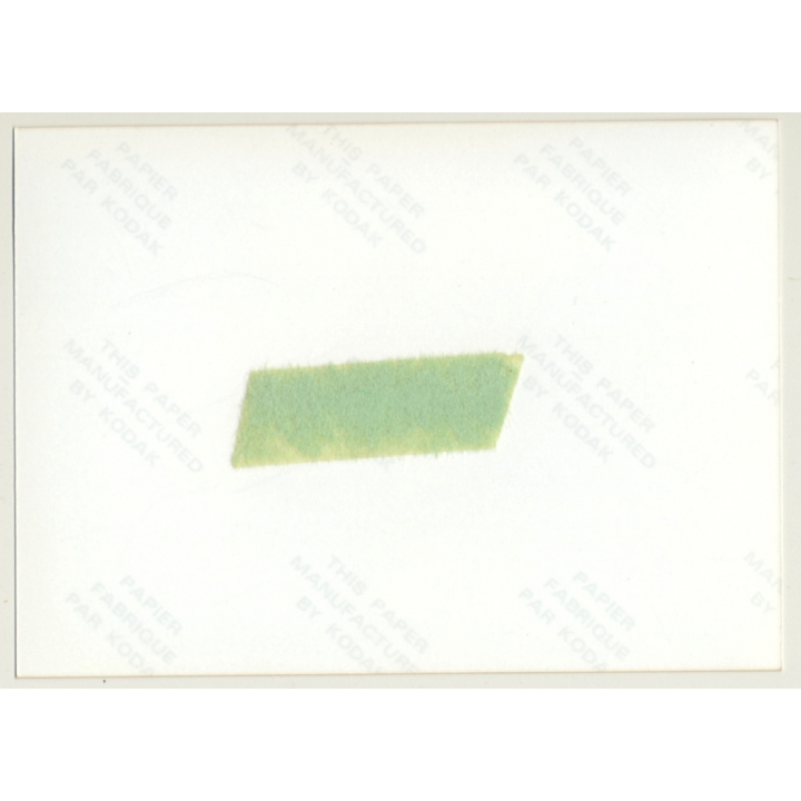 Upper Body Of Nude Woman / Small Boobs (Vintage Photo Germany ~1980s)