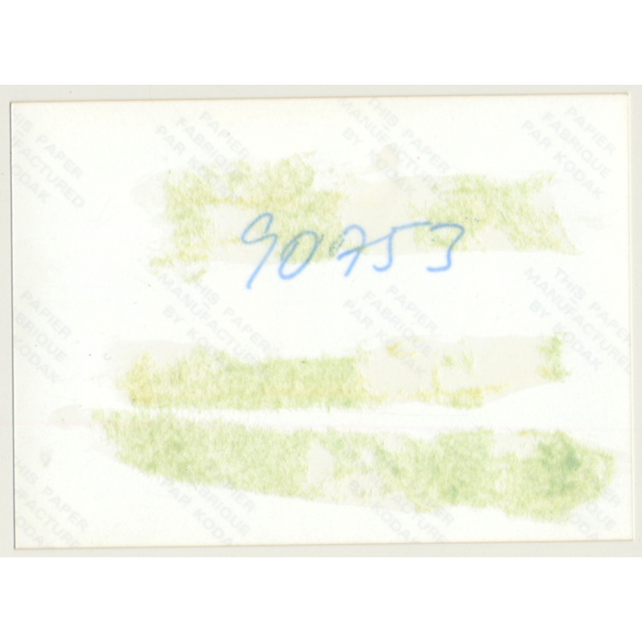 Nude Brunette On Leopard Skin Blanket / Red Suspenders (Vintage Photo Germany ~1980s)