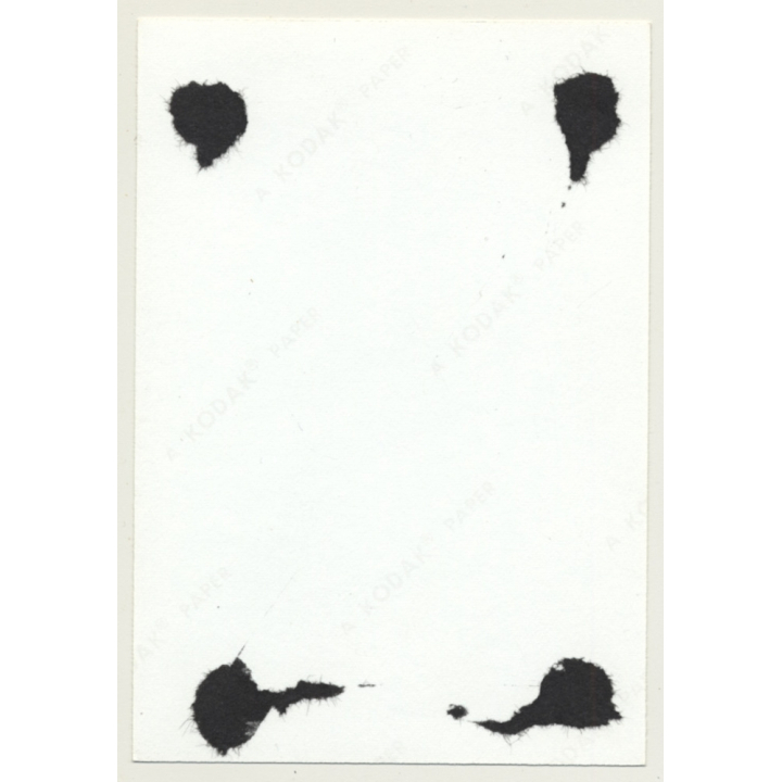 Shorthaired Nude Tied In Dungeon / Bondage - BDSM (Vintage Photo ~1960s/1970s)