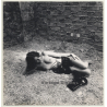 Pretty Brunette Nude Lingers On Hay / Military Boots - Barn (Vintage Photo Spain ~1970s/1980s)