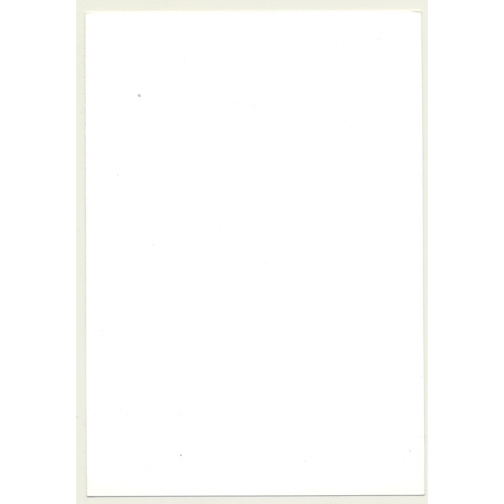 Dreamy Nude Curlyhead *2 / Fishnets - Butt (Vintage Photo GDR ~1970s/1980s)