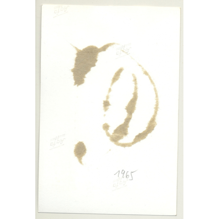 Blonde Beauty Tied In Lacquer Outift 10 / Chain - BDSM (2nd Gen. Photo B/W ~1960s)