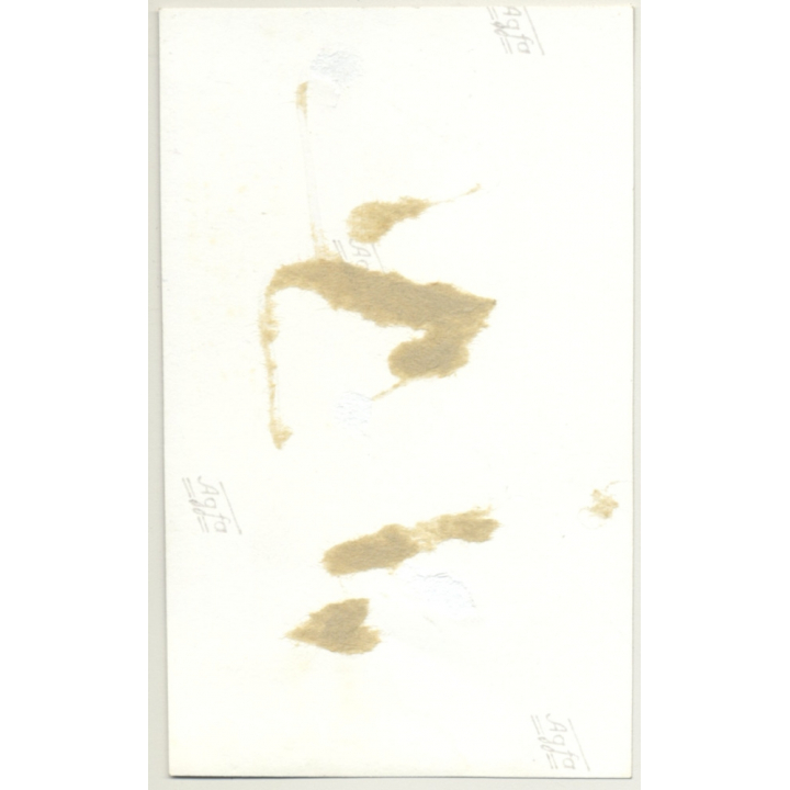 Nude Blonde Woman Tied In Chains *1 / Collar - BDSM (2nd Gen. Photo B/W ~1960s)