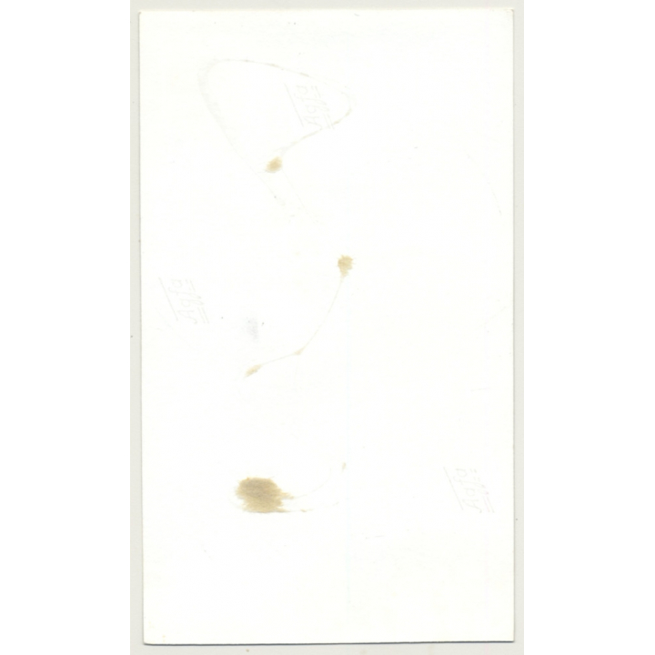 Nude Blonde Woman Tied In Chains *3 / Boobs - BDSM (2nd Gen. Photo B/W ~1960s)