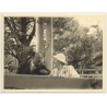 Élisabeth En Bavière - Reine Des Belges *9 / Talking (Vintage Photo 1950s/1960s)