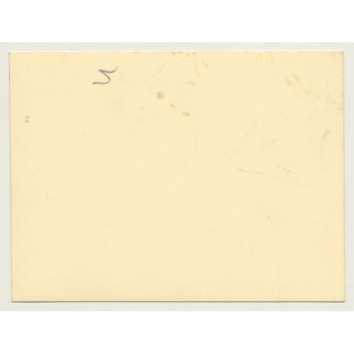 Élisabeth En Bavière - Reine Des Belges *9 / Talking (Vintage Photo 1950s/1960s)