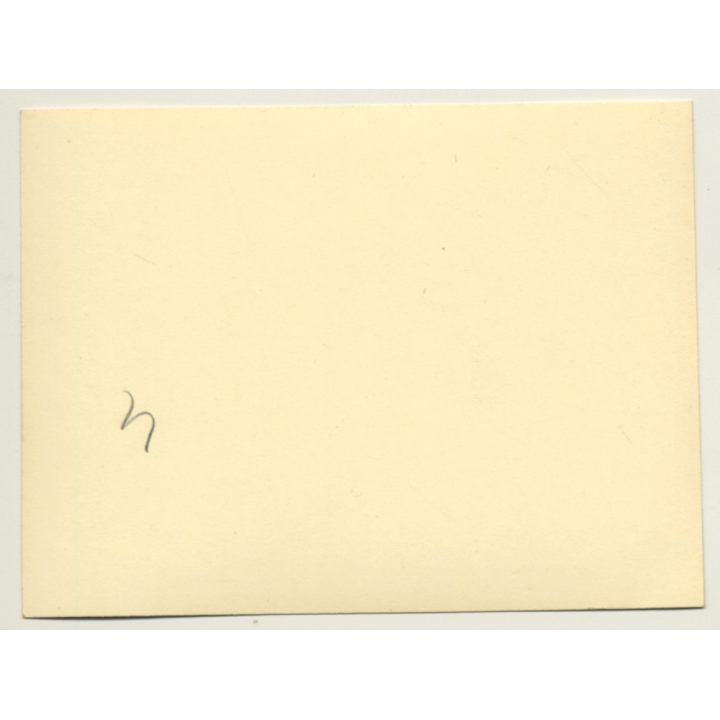 Élisabeth En Bavière - Reine Des Belges *11 / Outside (Vintage Photo 1950s/1960s)