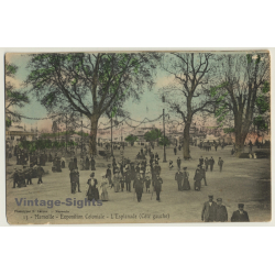 Marseille: Expo Coloniale 1906 / L'Esplanade (Côte Gauche) (Vintage PC)