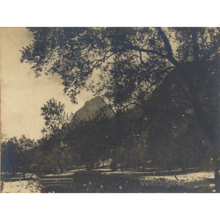 Bunyola / Mallorca: Torrent - Puig - Nieve (Vintage Photo ~1910s/1920s)