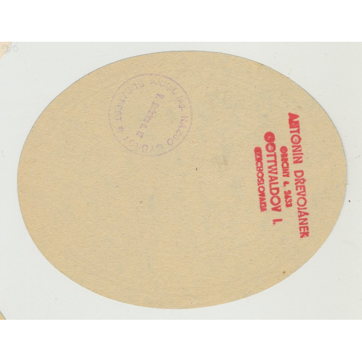 Gran Hotel - San Jose / Costa Rica (Vintage Luggage Label)