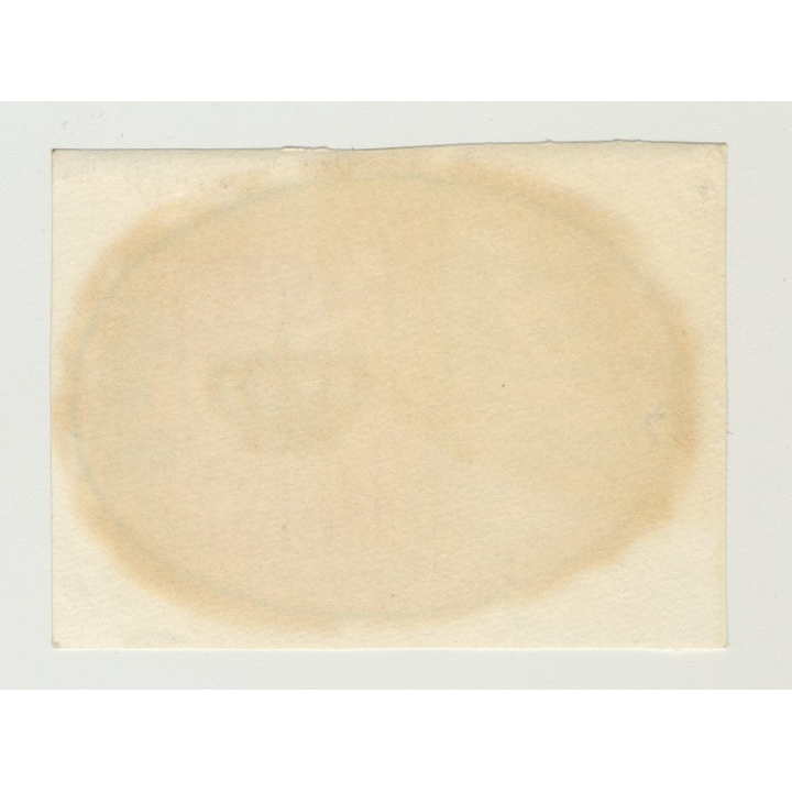 Regina Hotel - Rosario / Argentina (Vintage Roll On Luggage Label)