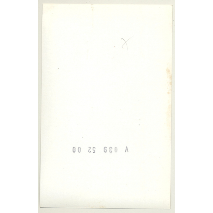 Seductive Brunette Nude Lolls Around / Suspenders (Vintage Photo Scandinavia ~ 1960s 1979)