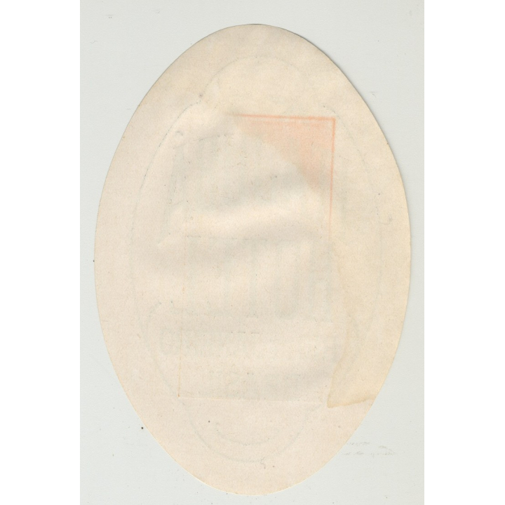 Itajuba Hotel - Rio De Janeiro / Brazil (Vintage Luggage Label: Big)