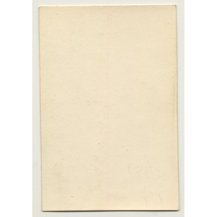 Lascivious Woman In Lounge Chair Shows Legs / Stuffed Animal (Vintage Photo ~1910s)