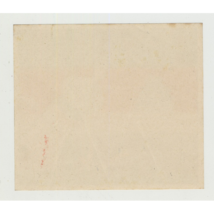 Hotel New Osaka - Osaka / Japan (Vintage Luggage Label) NIPPON