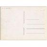 PK-333: Nude Duet D - Pin-Up (Vintage 3D Stereo Effect Postcard Toppan)